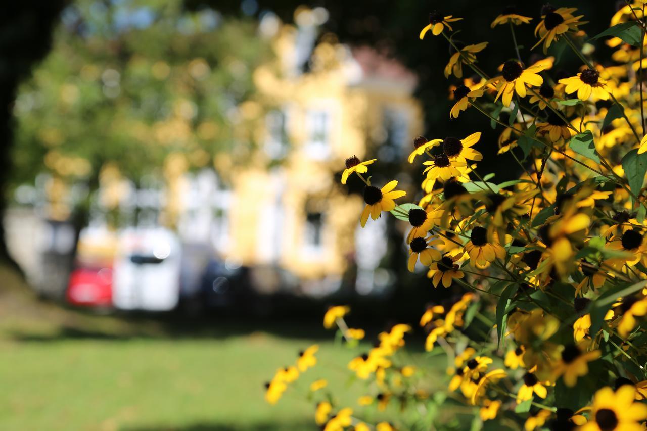 Babenbergerhof Hotel Ybbs an der Donau